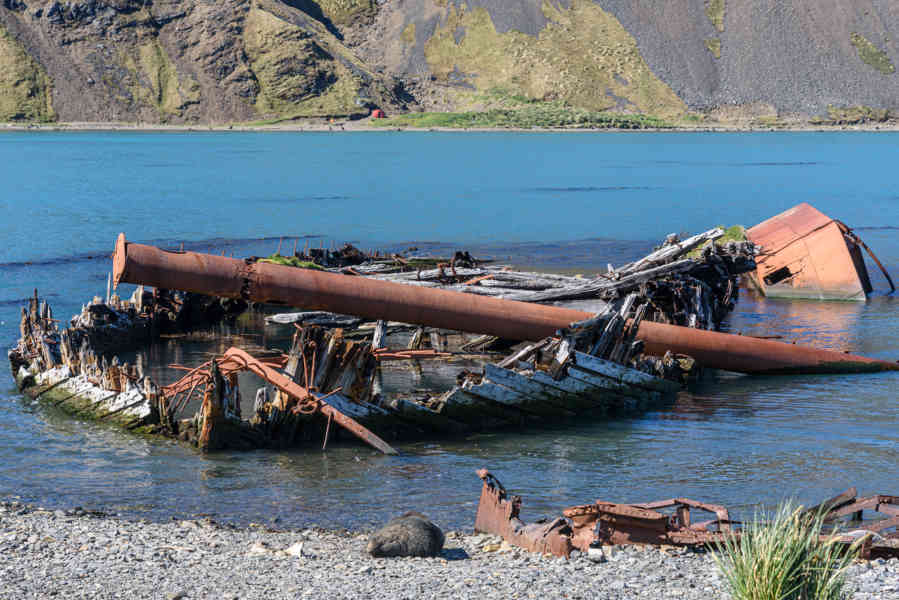 Islas Georgias del Sur 038 - Grytviken - Harpon Jetty.jpg